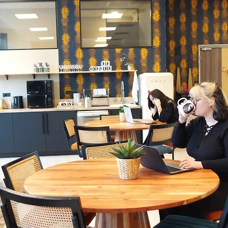 Mitwit Office Coliving * آركاشو